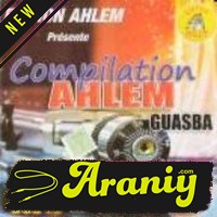 Compilation-Ahlem---Guasba-Vol-17